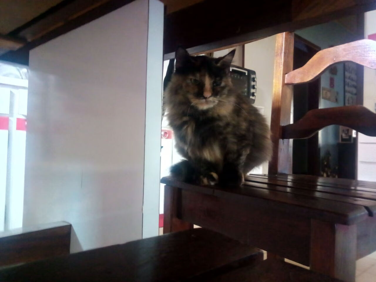 “青少年足球比赛精彩纷呈，未来之星纷纷亮相”，2020青少年足球比赛