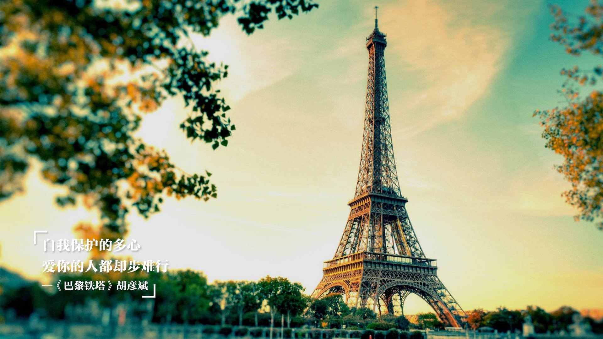 开云官方网页登录-“性能巨兽：顶级豪车的速度狂潮”，性能车速度可以爆表的车