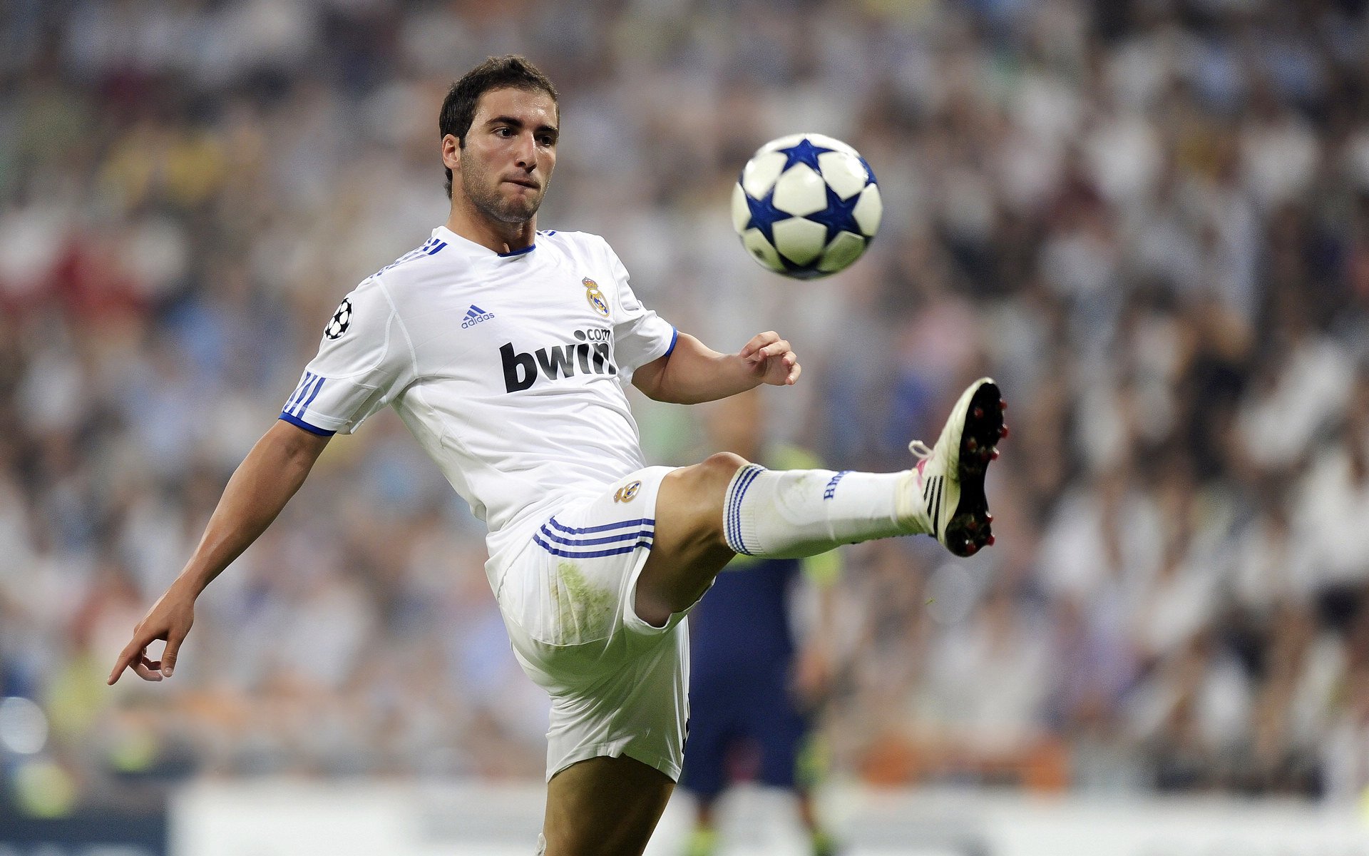 kaiyun登录入口-《电竞装备行业高速发展，专业设备普及程度大幅提升》，电竞设备品牌排行榜前十名