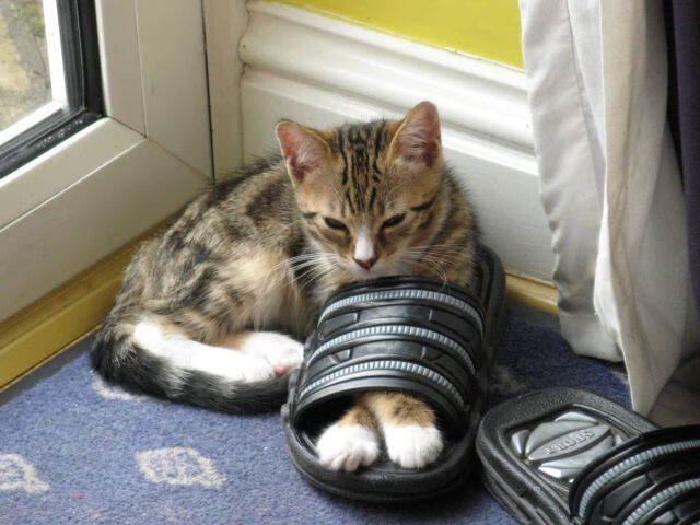 【防守反击】马克·塞尔比的“铁墙”战术策略拆解，马克·塞尔比的球风