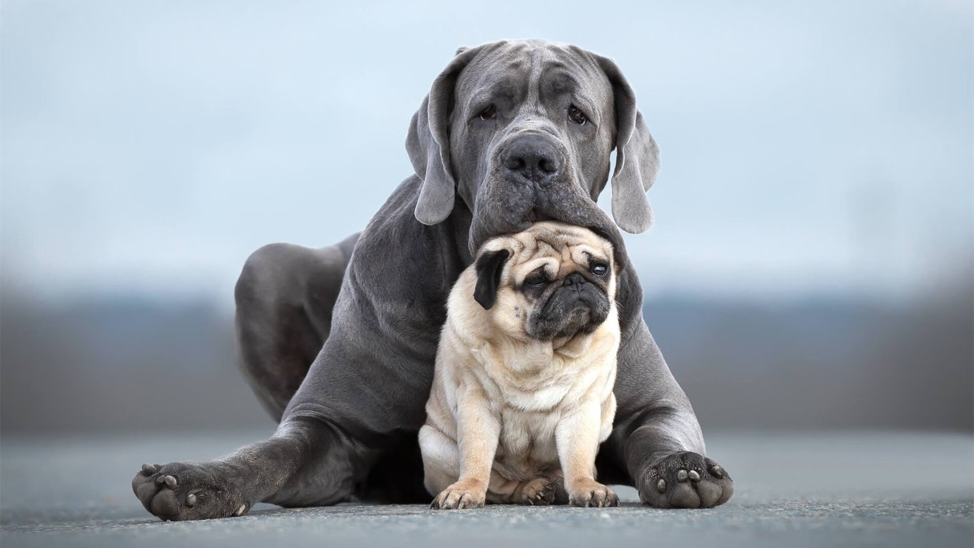 中国篮球职业联赛引入新规则，提升比赛观赏性，我国篮球职业联赛